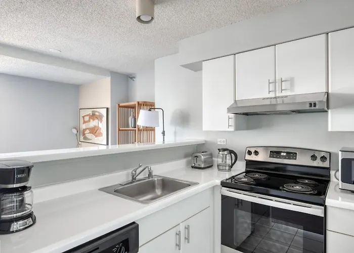 Streeterville W Pool Gym Nr Navy Pier Chi-787 Apartment *
