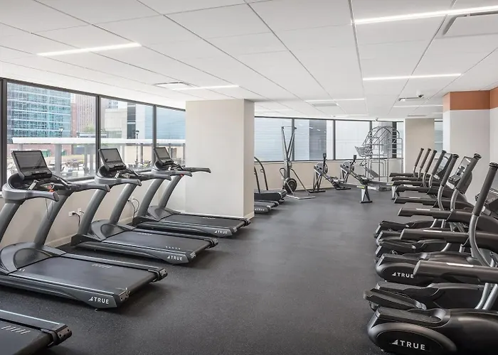 Streeterville W Pool Gym Nr Navy Pier Chi-787 Apartment Chicago